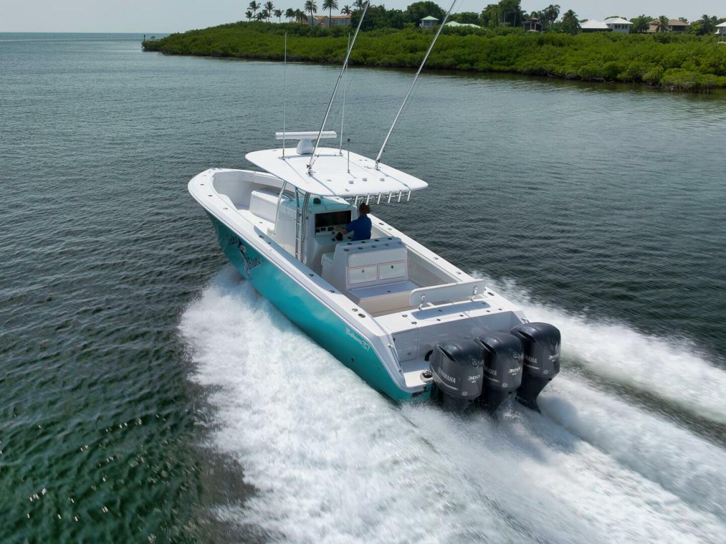 2013 Bahama - Image 25