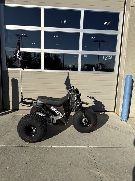 2026 Mini RCR T3 - Image 3