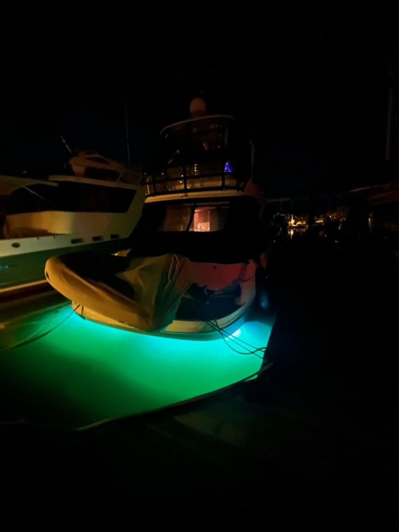 2005 Sea Ray 500 Sedan Bridge - Image 3