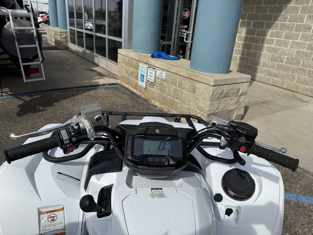 2019 Yamaha Grizzly EPS SE - Image 9