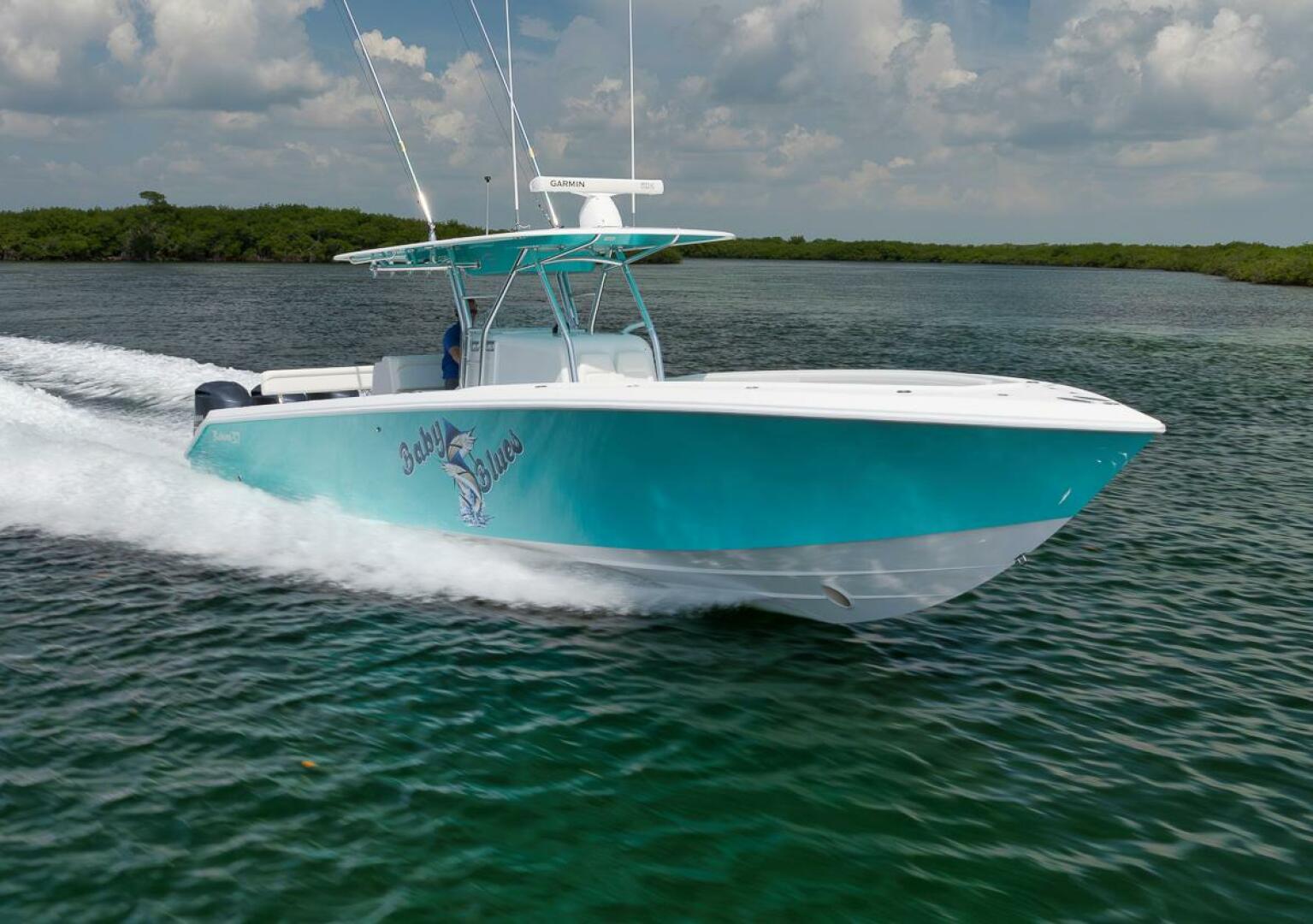 2013 Bahama - Image 7