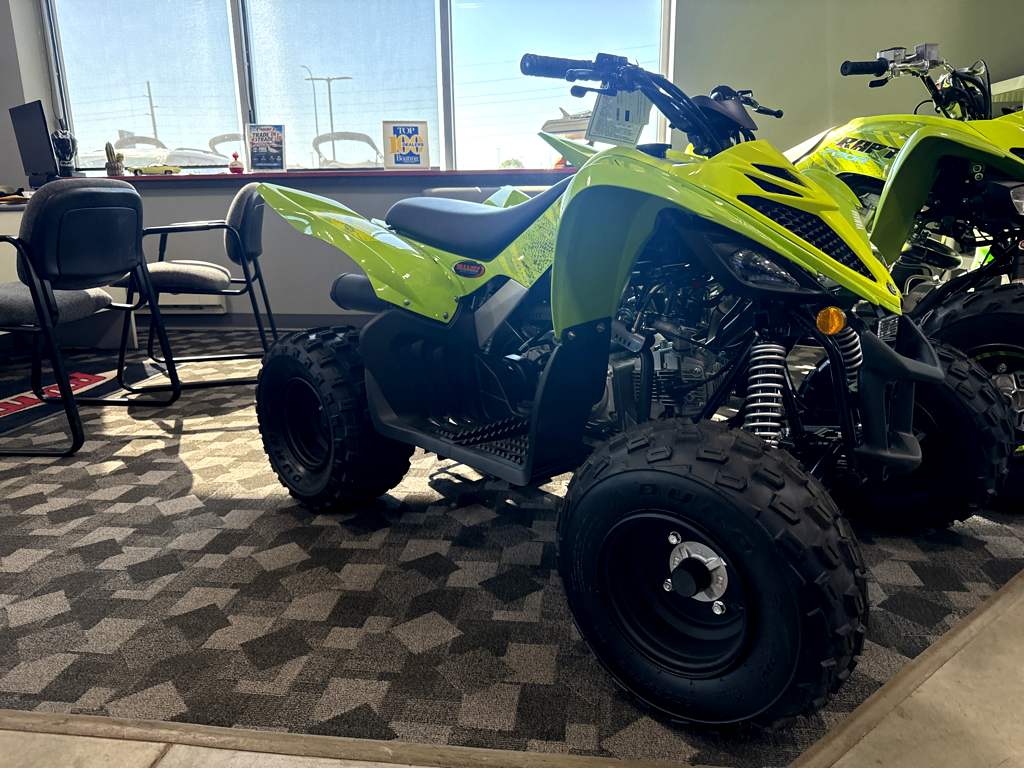 2026 Yamaha Raptor 110 - Image 2