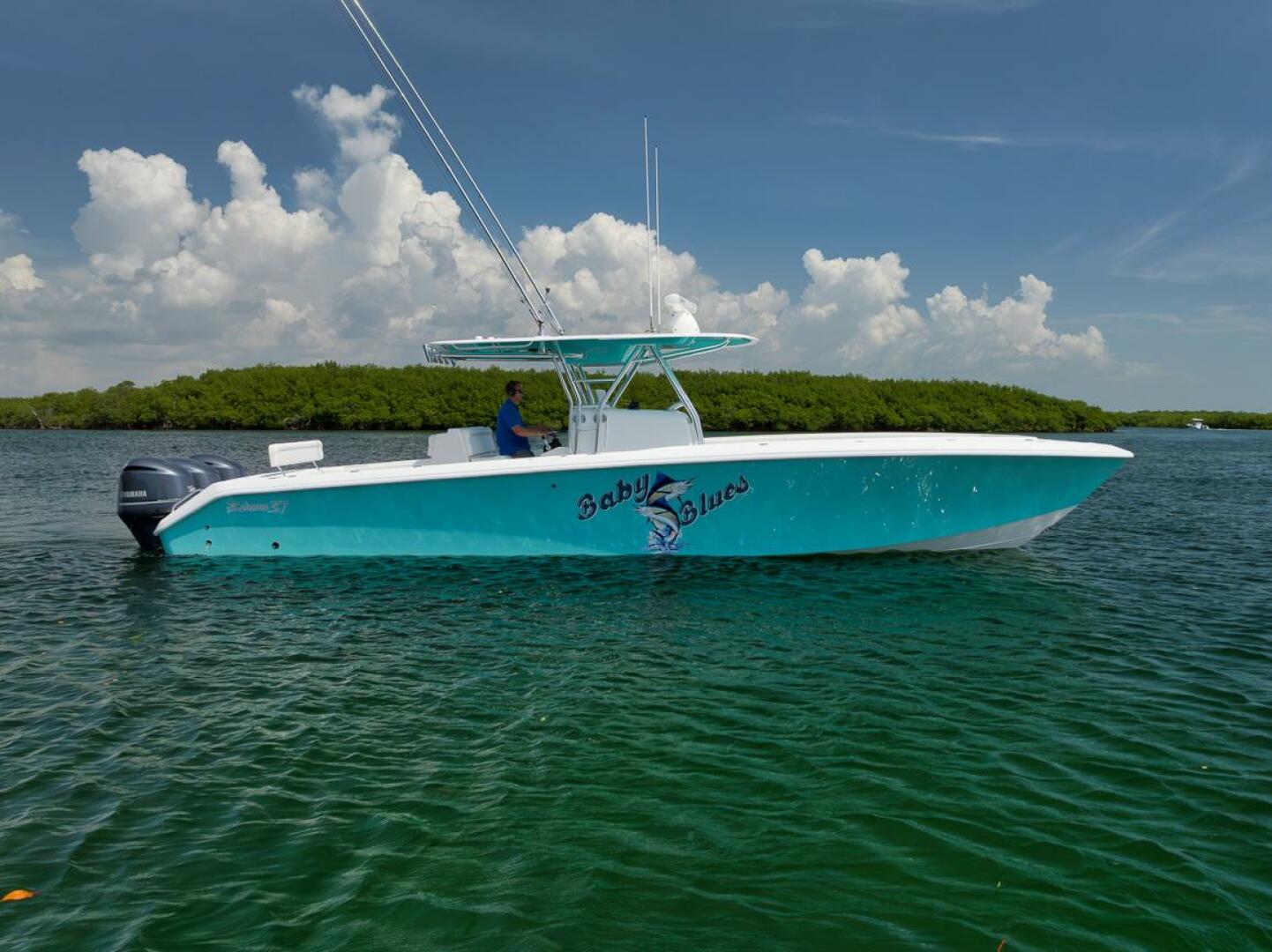 2013 Bahama - Image 24