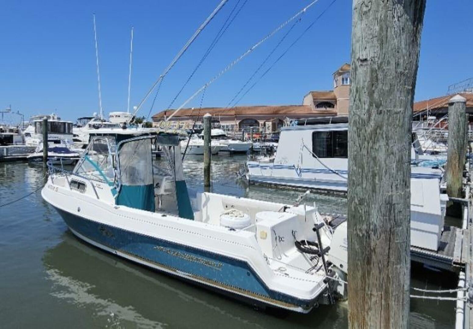2001 Aquasport 250 Explorer - Image 5