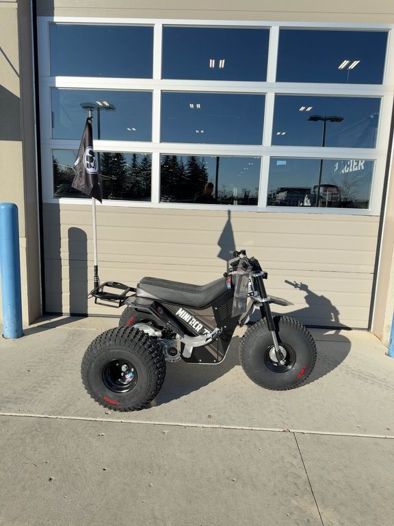 2026 Mini RCR T3 - Image 1