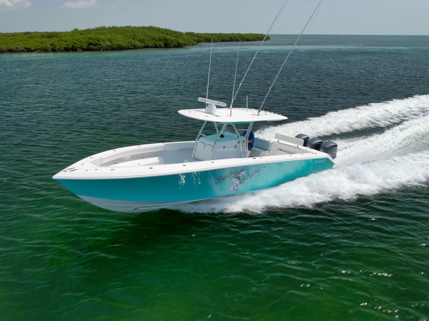 2013 Bahama - Image 10