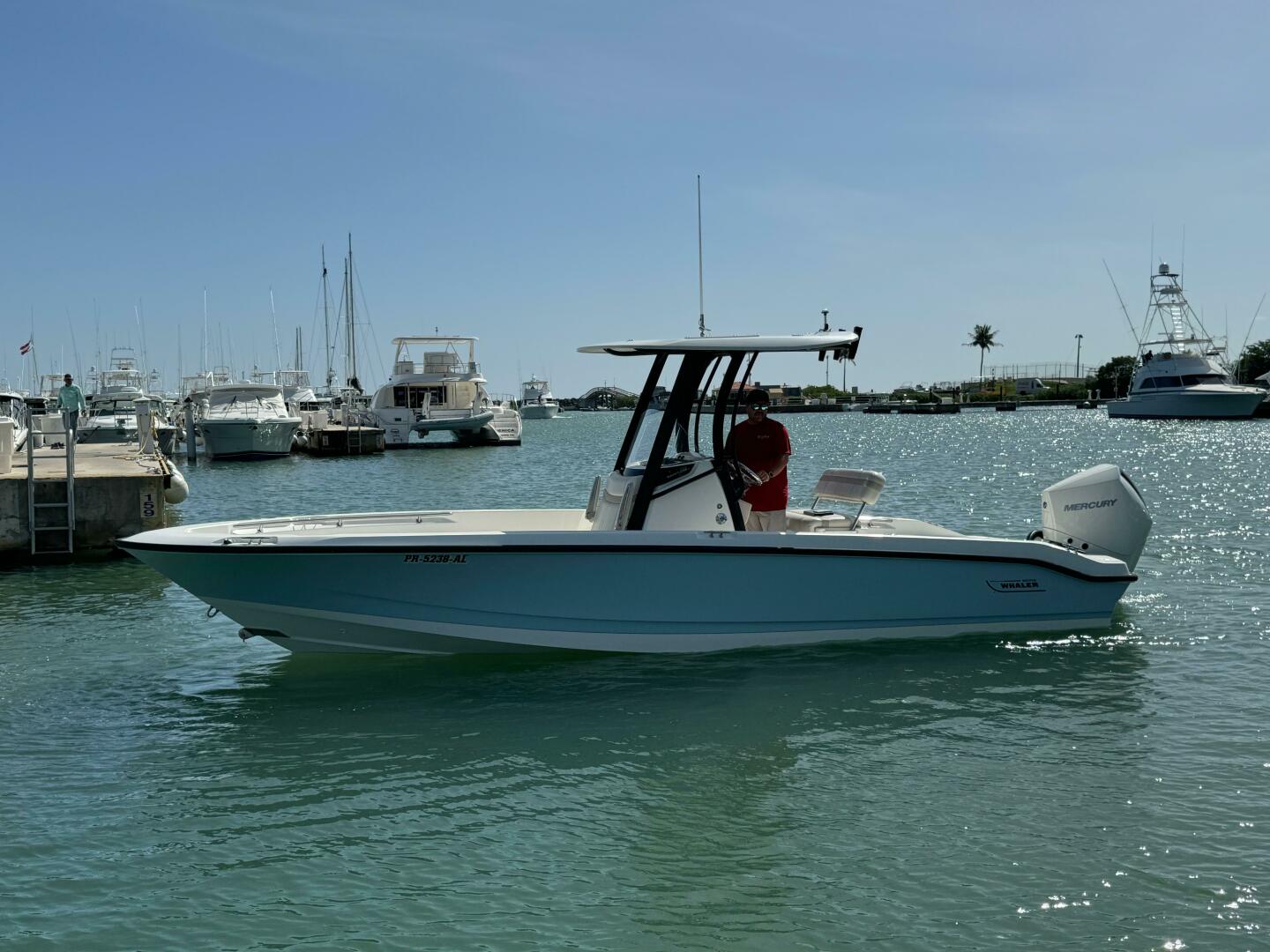 2022 Boston Whaler 250 DAUNTLESS Base - Image 12
