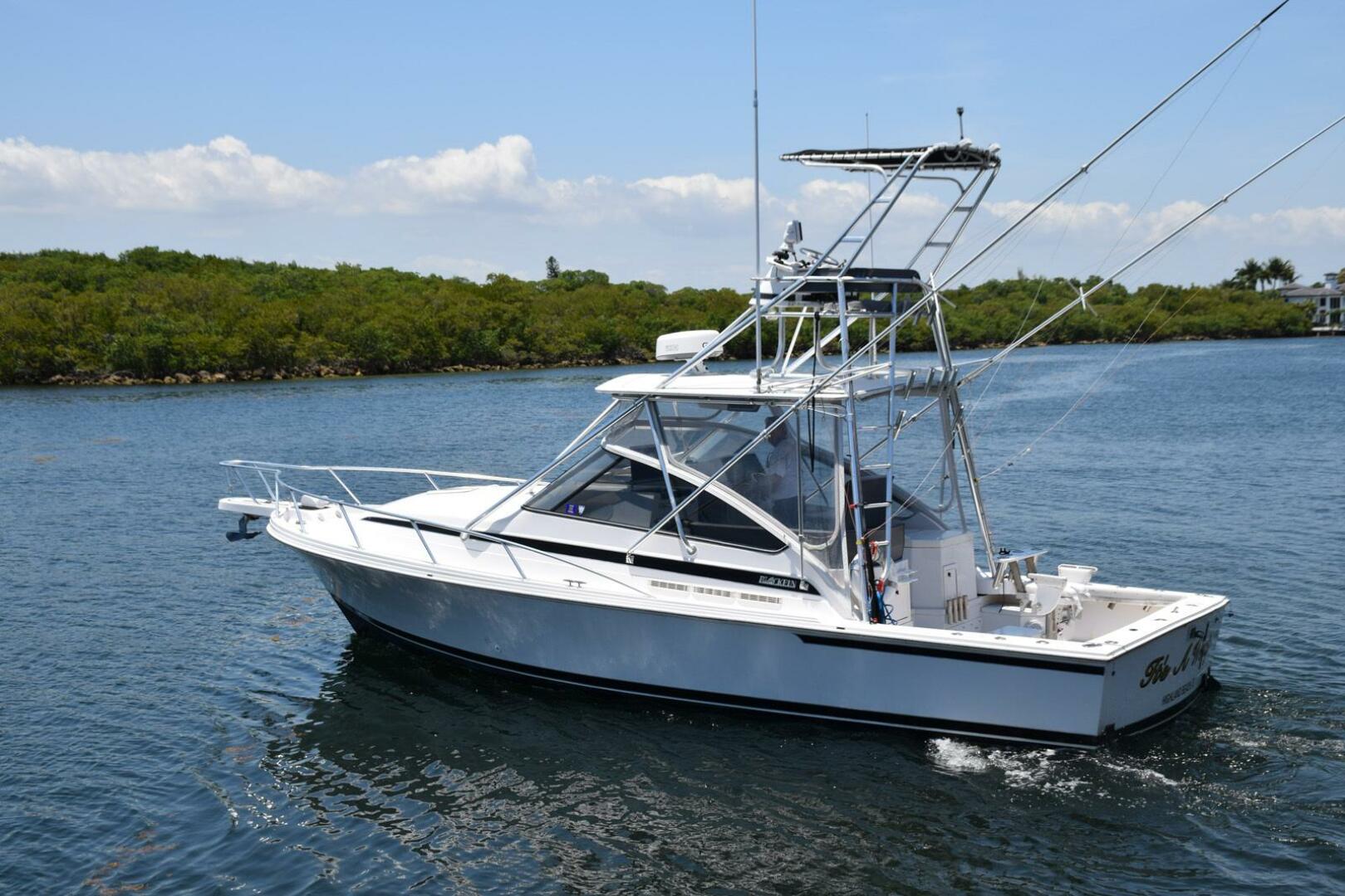 1995 Blackfin Combi 33 - Image 5