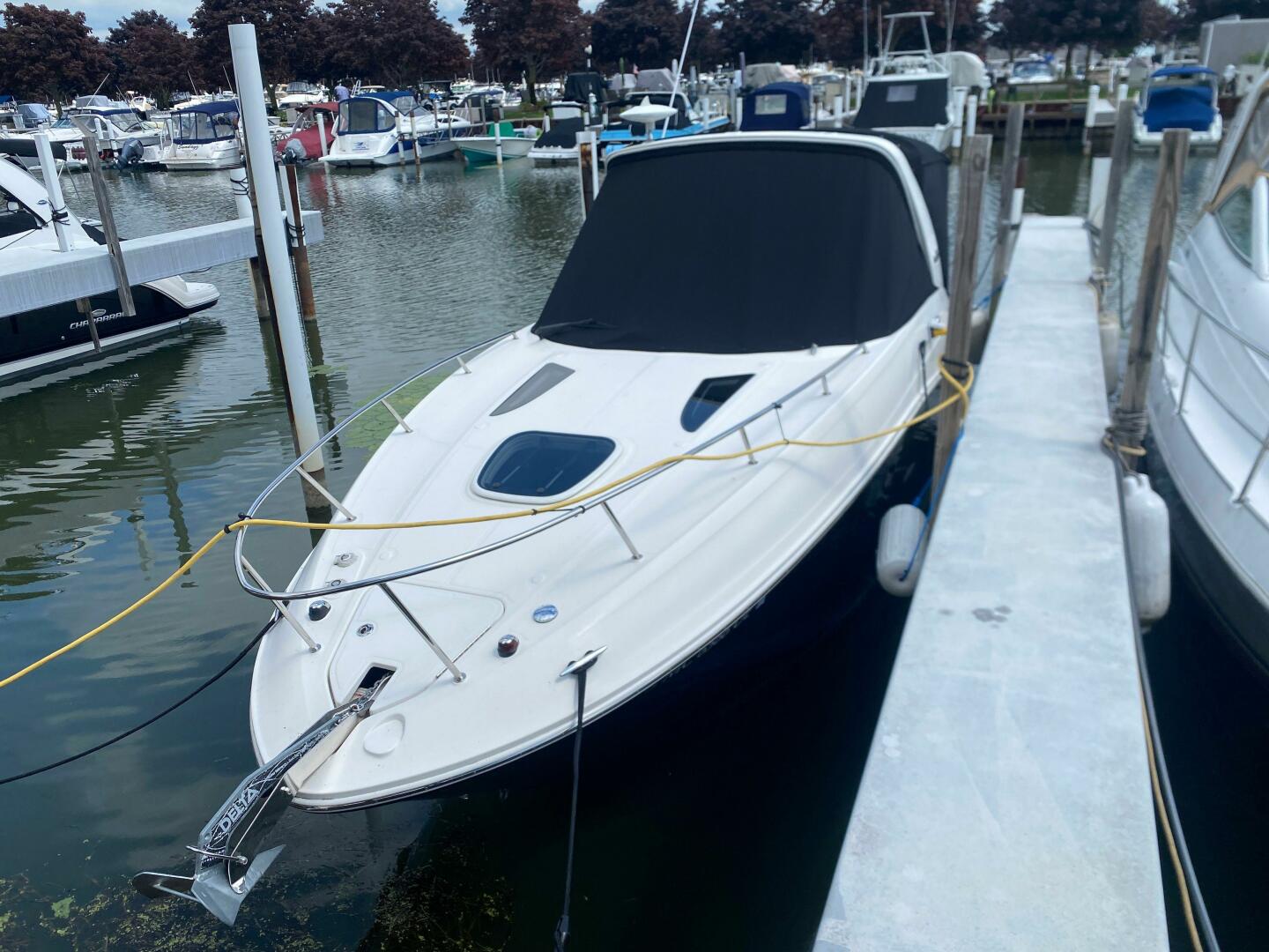 2018 Sea Ray 260 Sundancer - Image 5