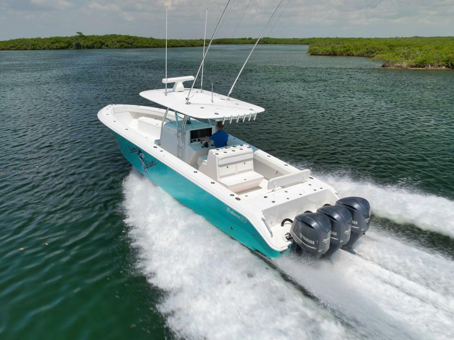 2013 Bahama - Image 4