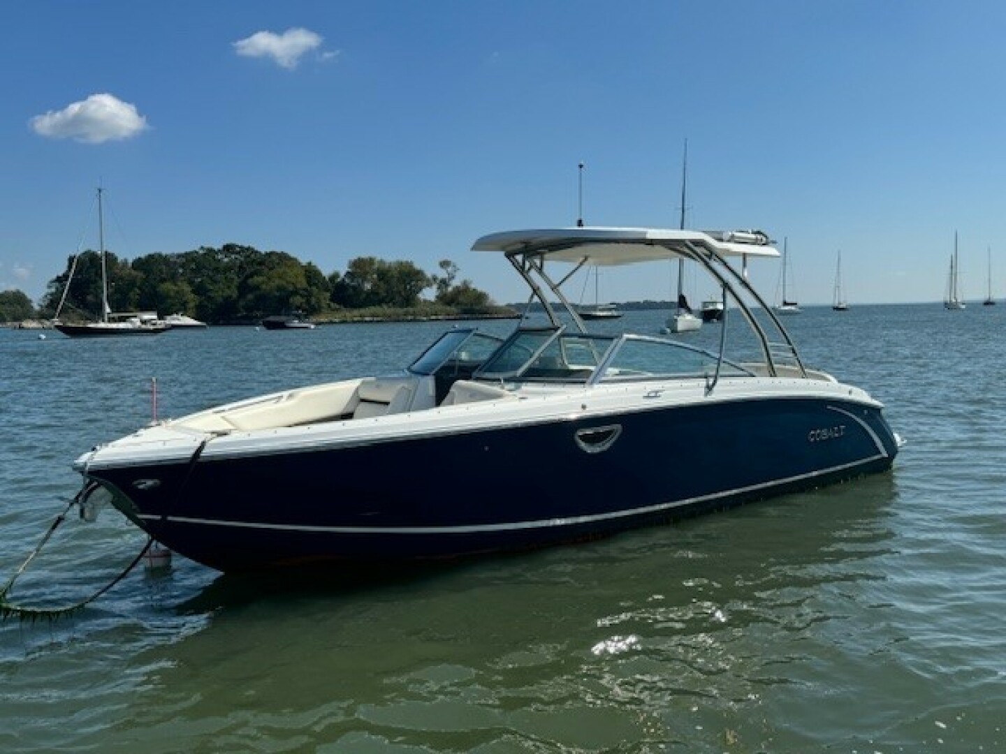 2019 Cobalt R7 - Image 1