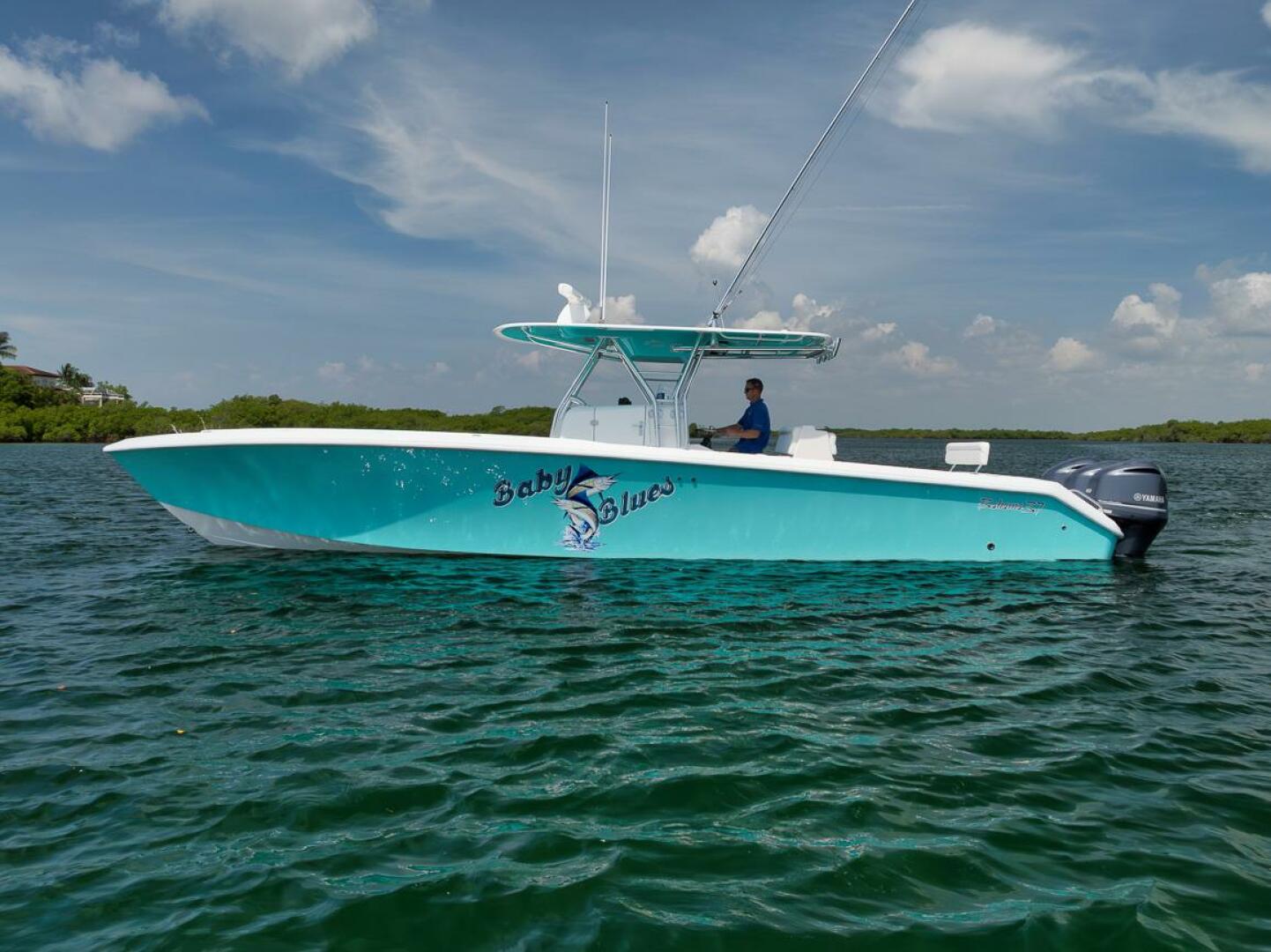 2013 Bahama - Image 18