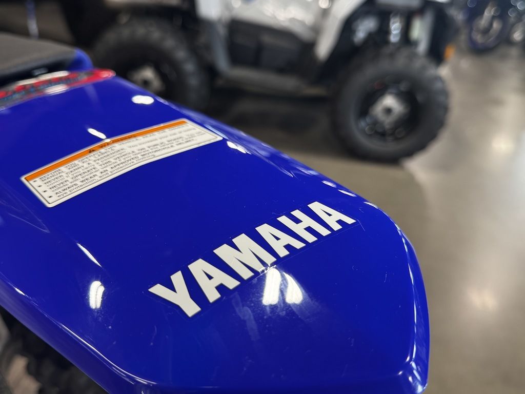 2026 Yamaha TT-R230 - Image 10