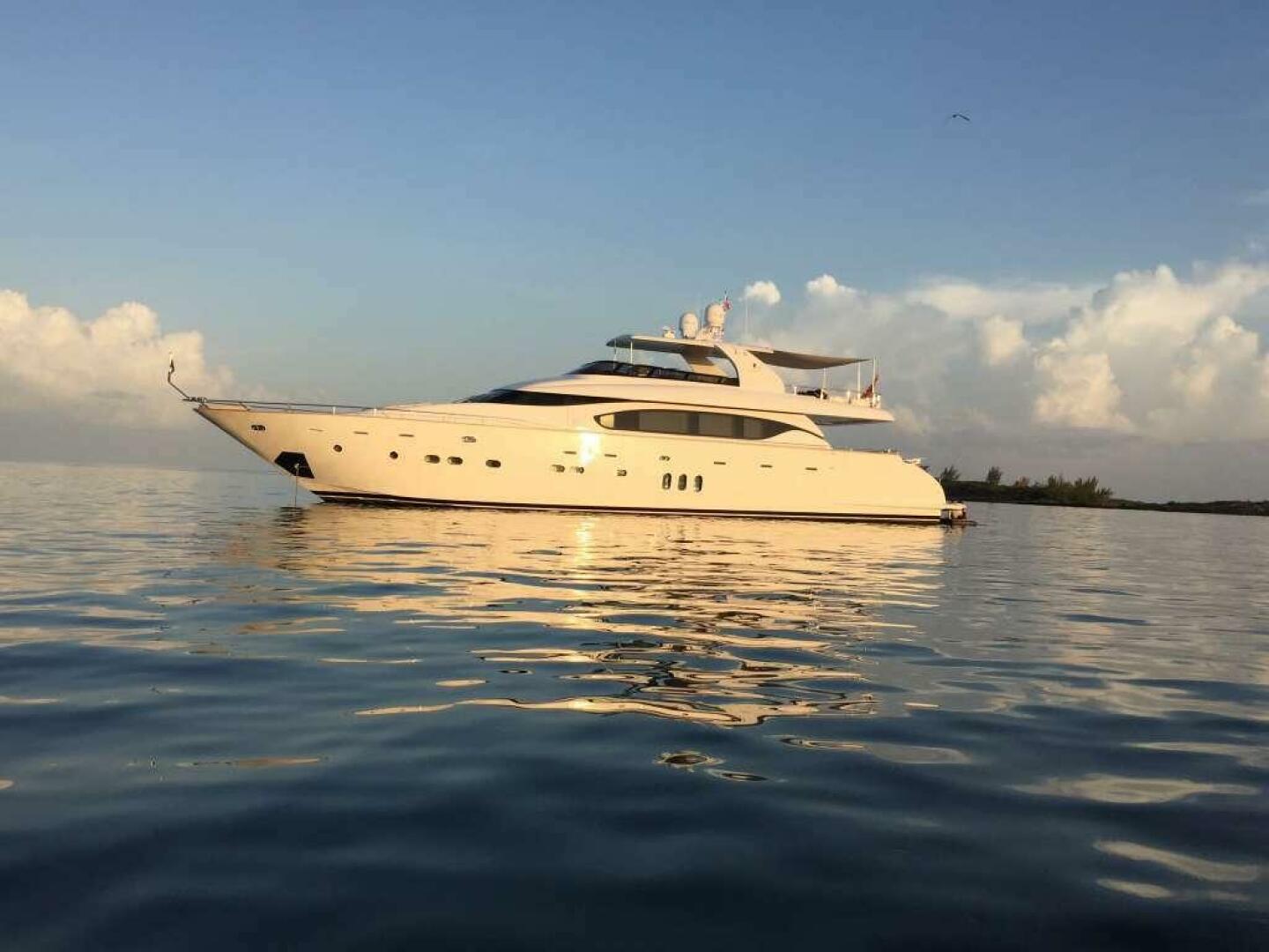 2015 Maiora - Image 2