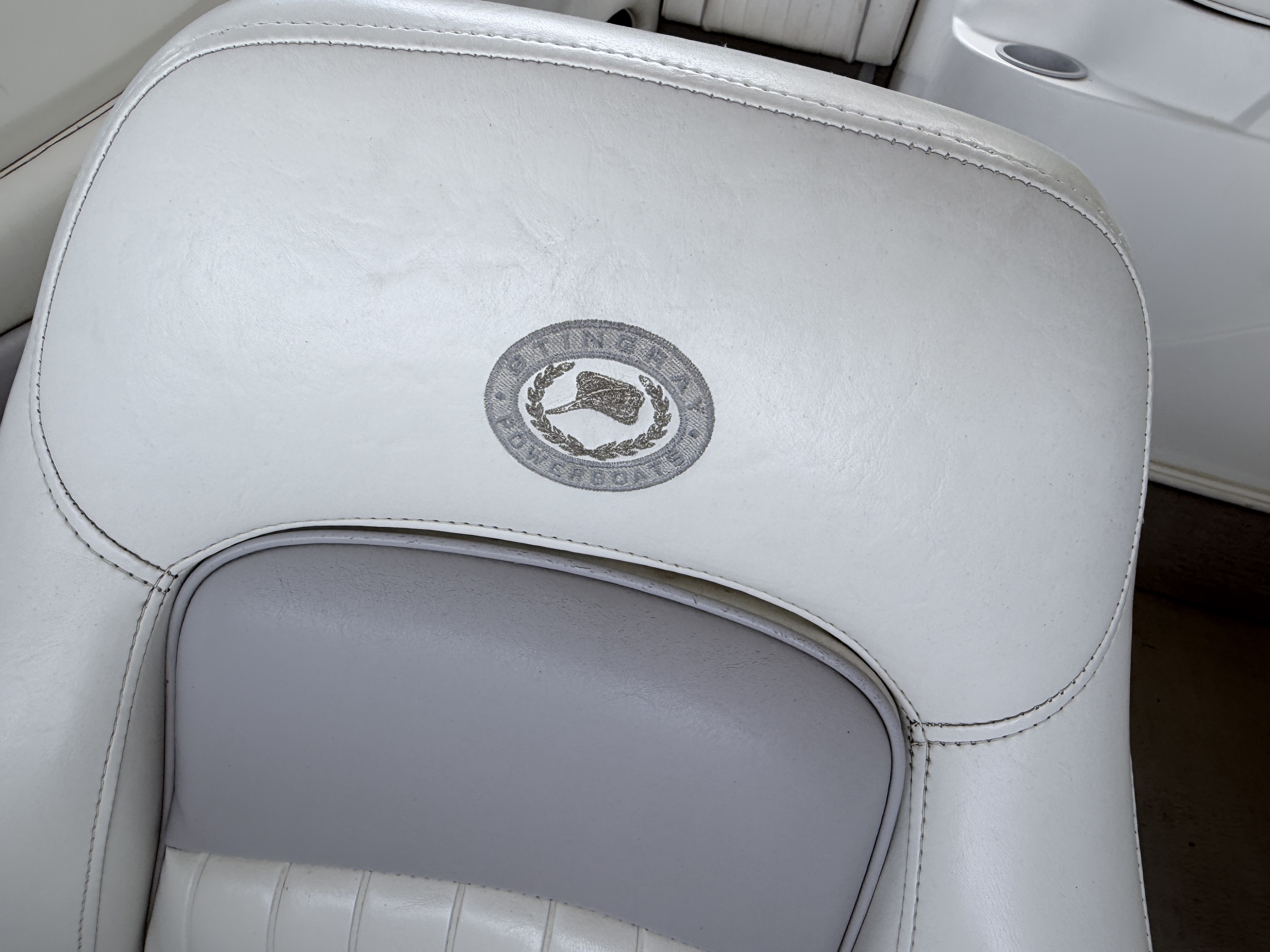 2011 STINGRAY 2011 195LS - Image 9