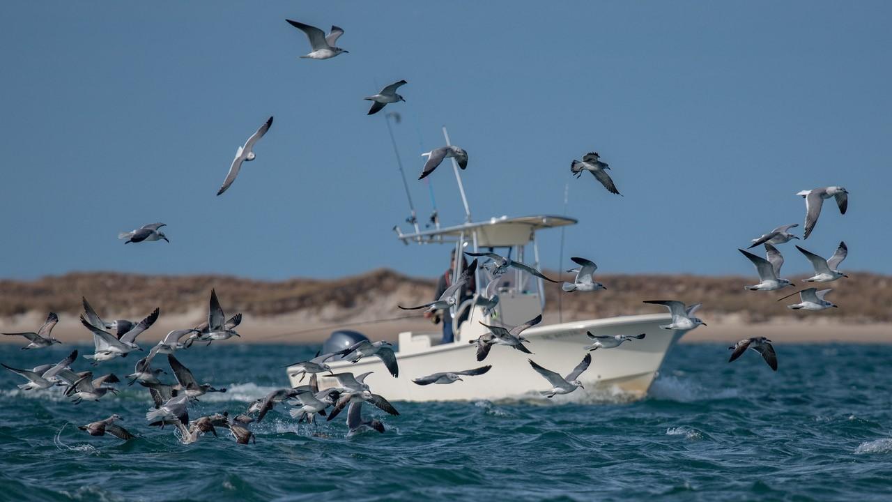 2026 Jones Brothers Cape Fisherman 23 Standard - Image 12