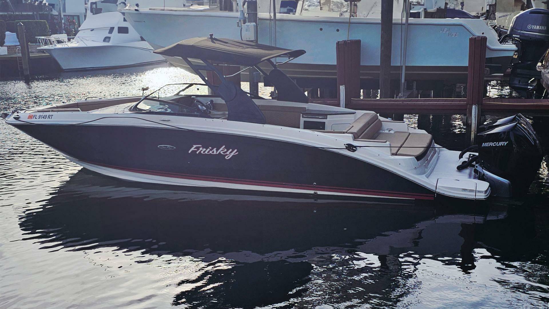 2018 Sea Ray 290 SDX - Image 1