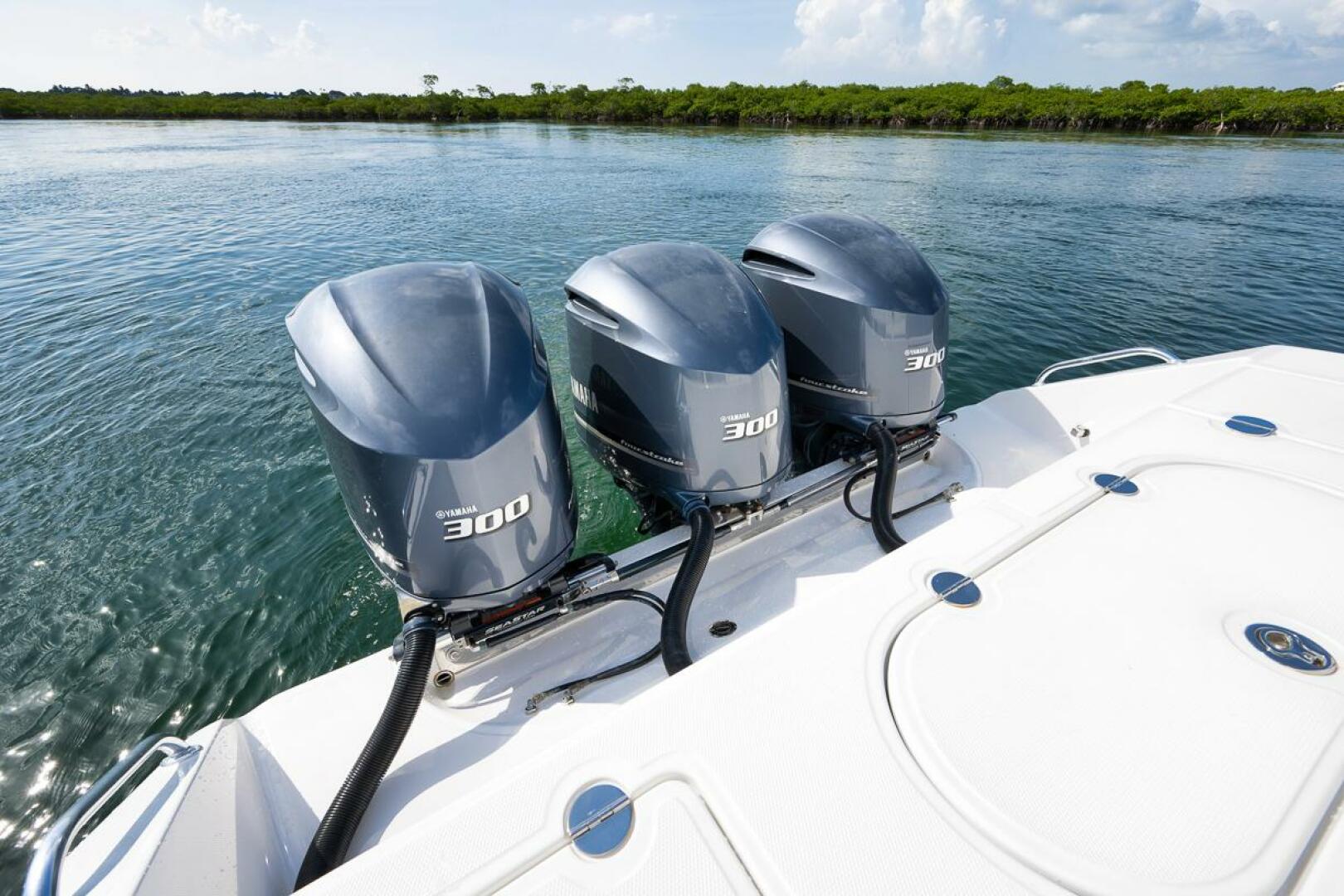 2013 Bahama - Image 77
