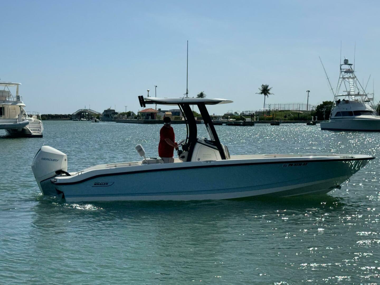 2022 Boston Whaler 250 DAUNTLESS Base - Image 6