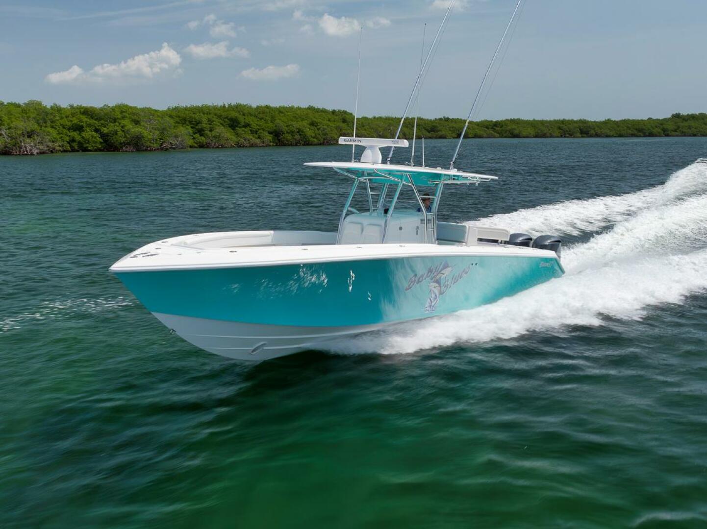 2013 Bahama - Image 11