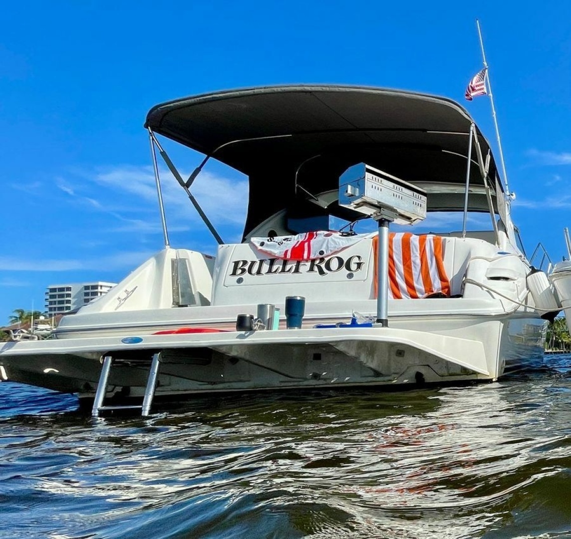 1995 Sea Ray - Image 1