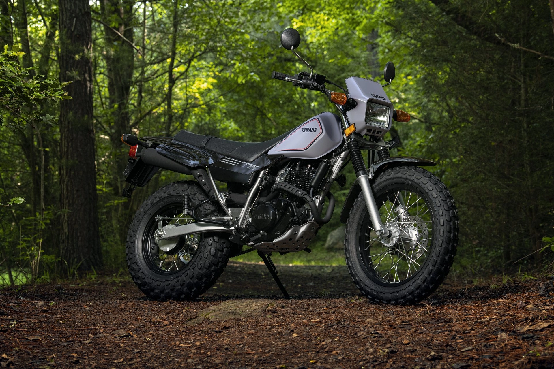 2027 Yamaha TW200 - Stock Image 1