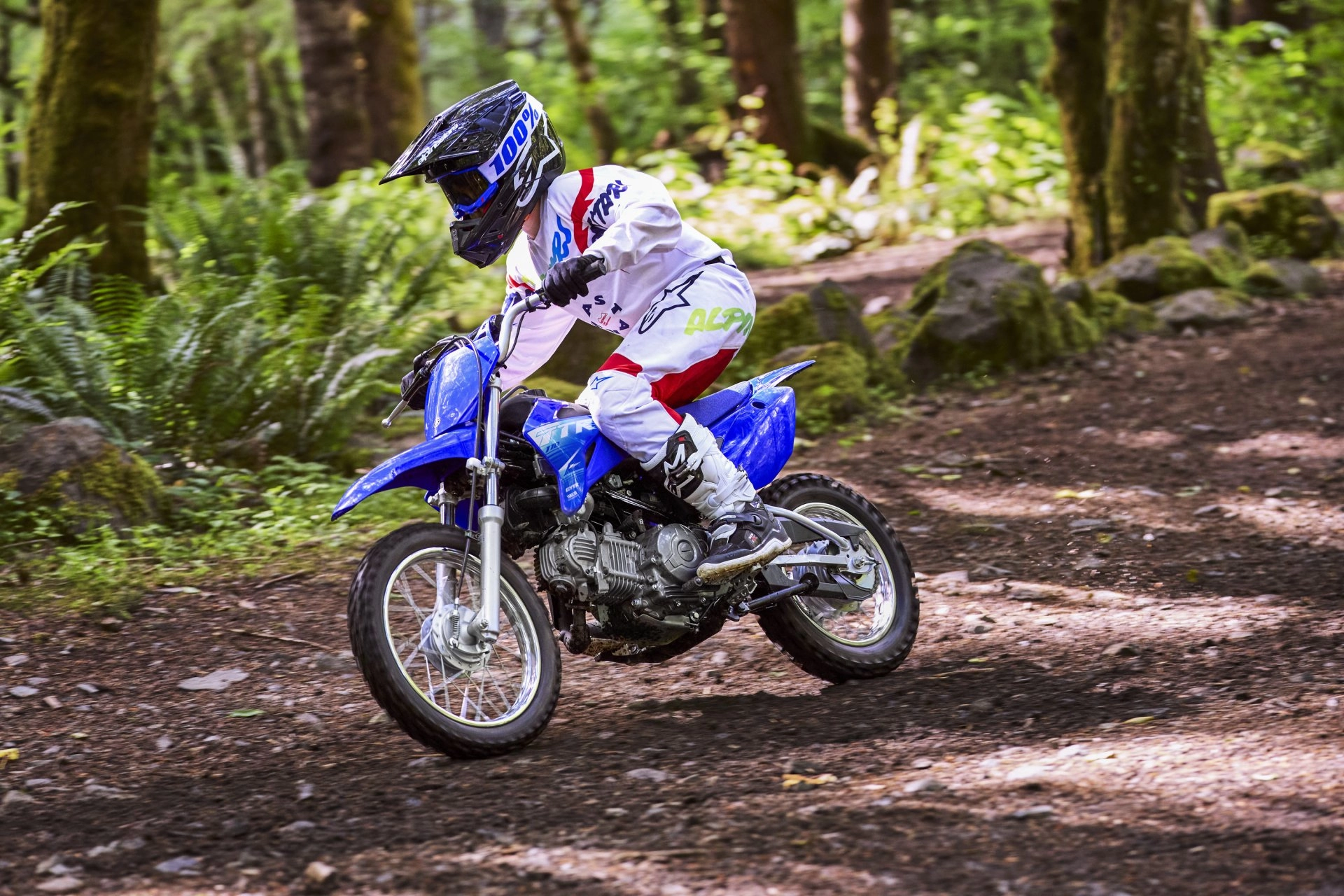 2027 Yamaha TTR-110 - Stock Image 1