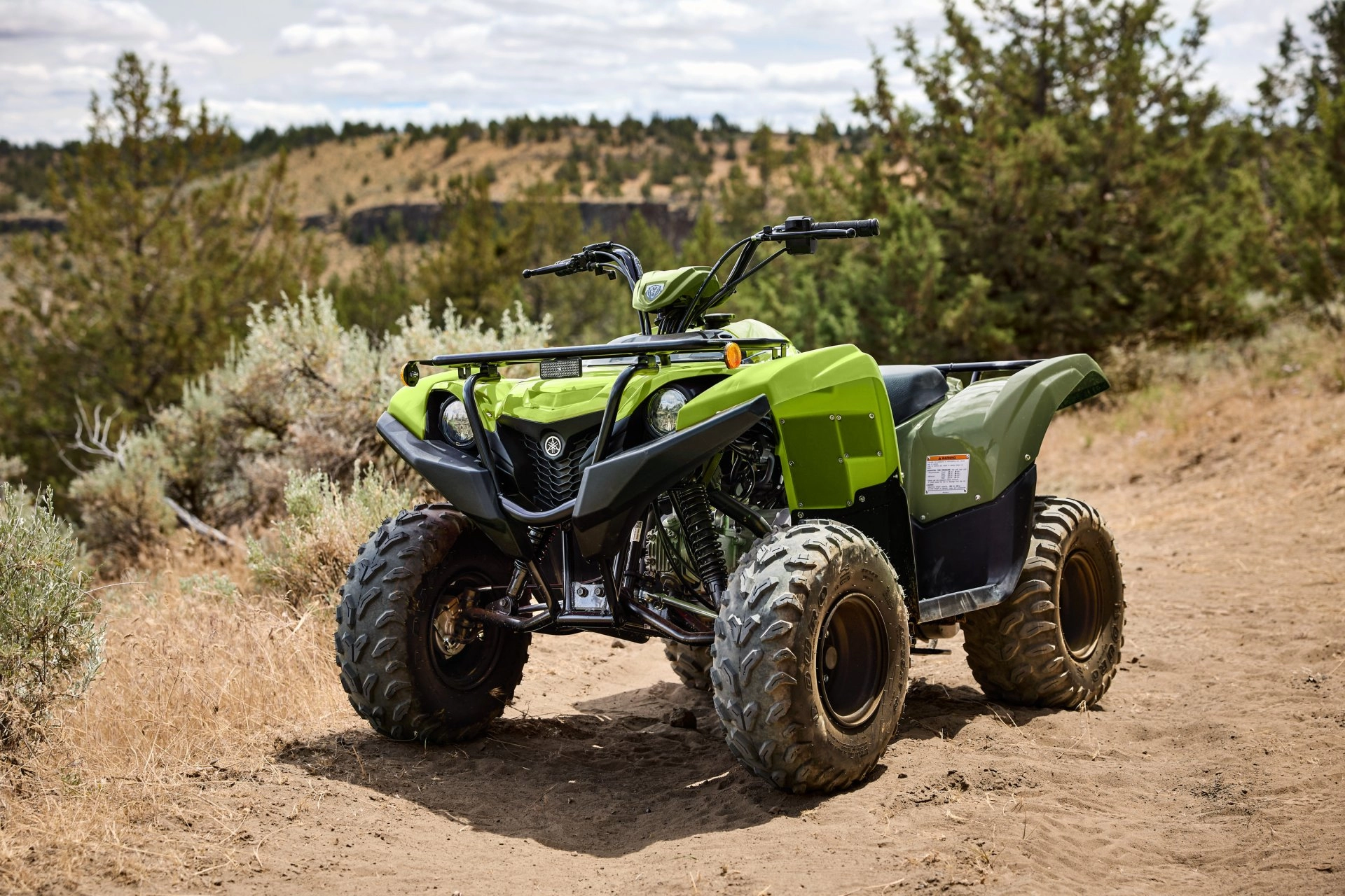 2026 Yamaha Grizzly 110 - Stock Image 1
