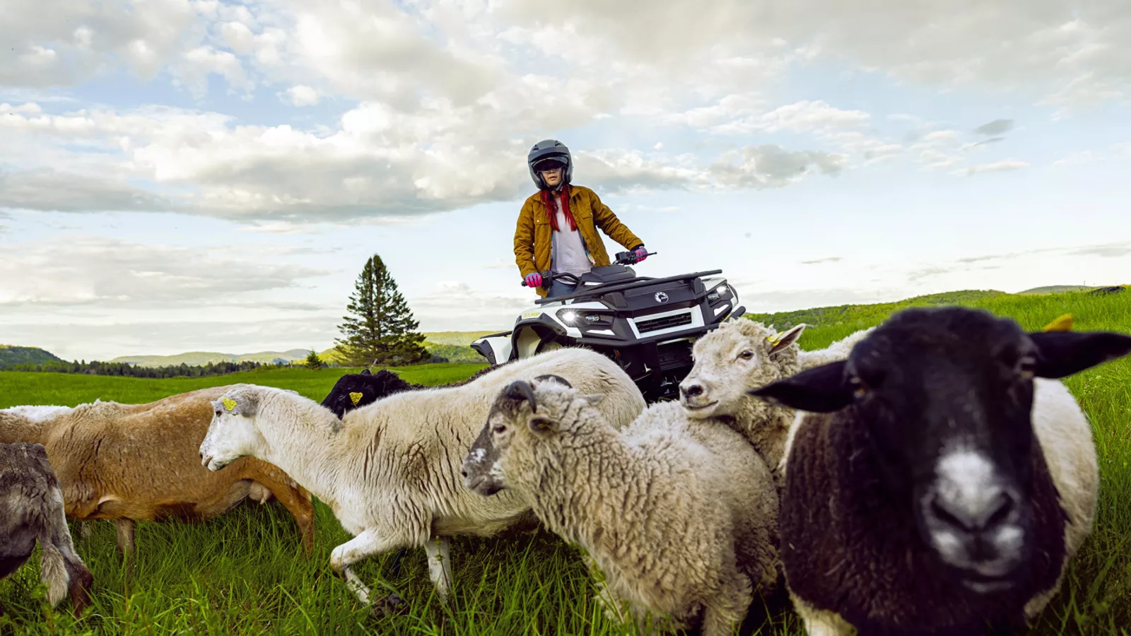 2026 Can-Am Outlander™ EV37 - Stock Image 1